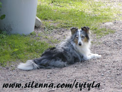Hietikolla