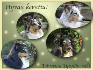 Tytylän tytyt