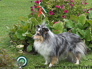 Miina