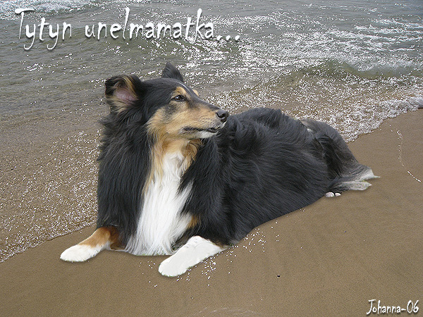 Tytyn unelmamatka