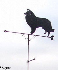 Tuuliviiri